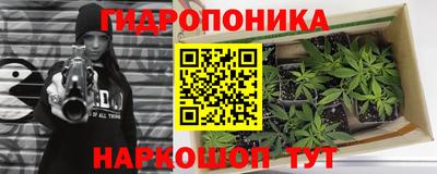 сатива Пугачёв
