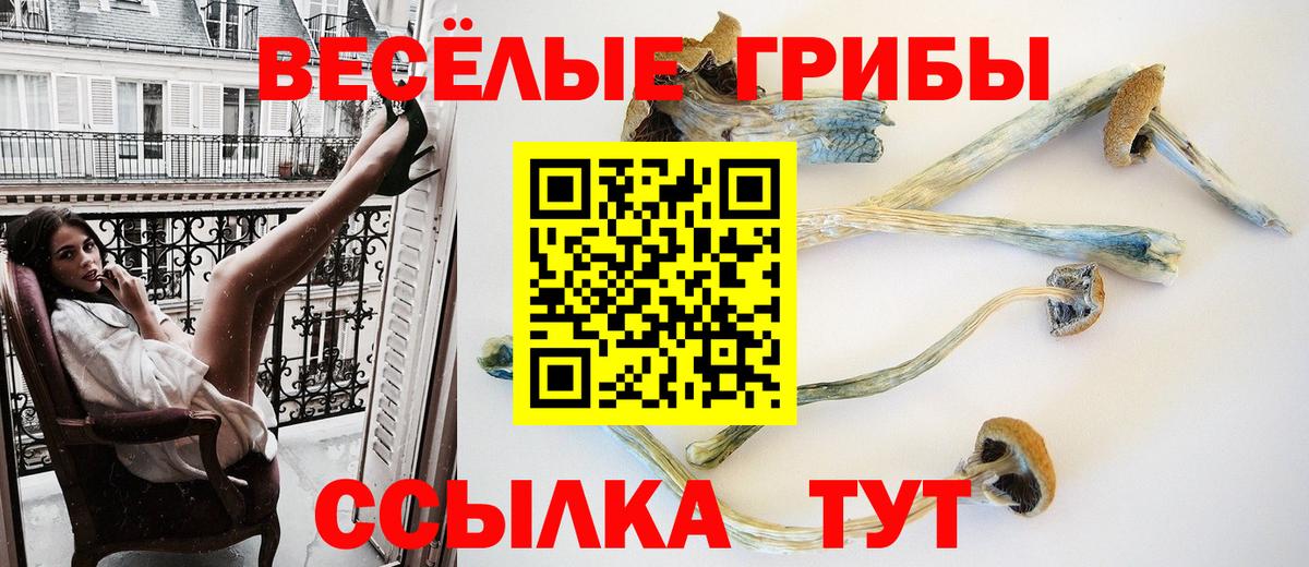 Галлюциногенные грибы прущие грибы  Галлюциногенные грибы Magic Shrooms  Вход с VPN  Павлово 
